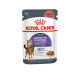 Royal Canin Appetite Control Care – Hrană Umedă pentru Pisici în Sos, 85 g